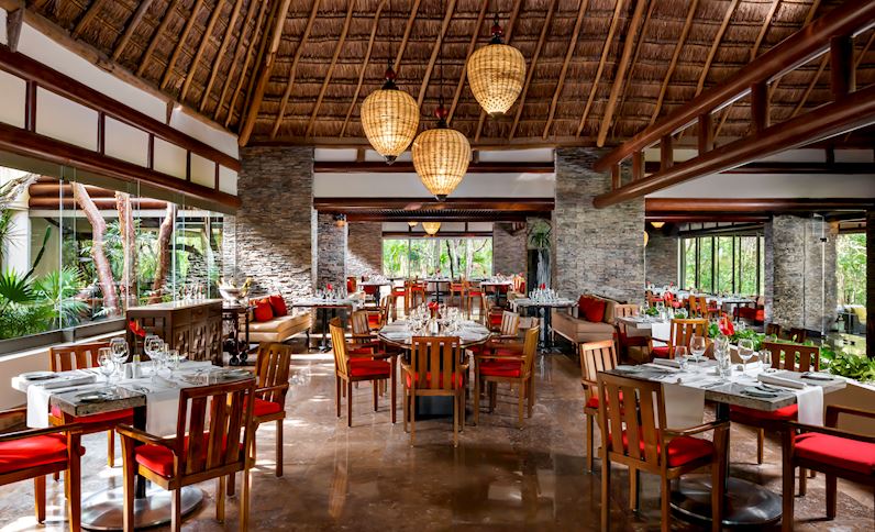 relajarse hilo Anillo duro Restaurantes Galería | Grand Velas Riviera Maya